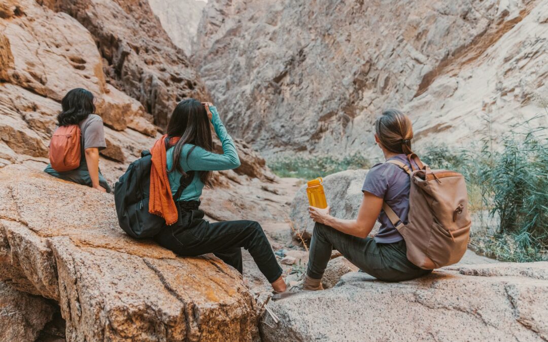 🌿 Embracing Perimenopause & Menopause Naturally: A Chiropractic & Science‑Backed Guide for Women in South Denver, Centennial & Aurora By. Dr. Melanie Schwietert