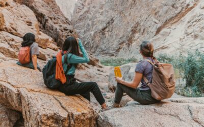 🌿 Embracing Perimenopause & Menopause Naturally: A Chiropractic & Science‑Backed Guide for Women in South Denver, Centennial & Aurora By. Dr. Melanie Schwietert