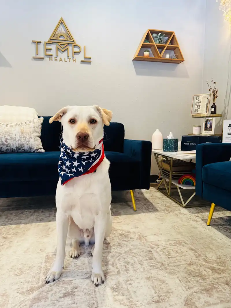 Meet Moose